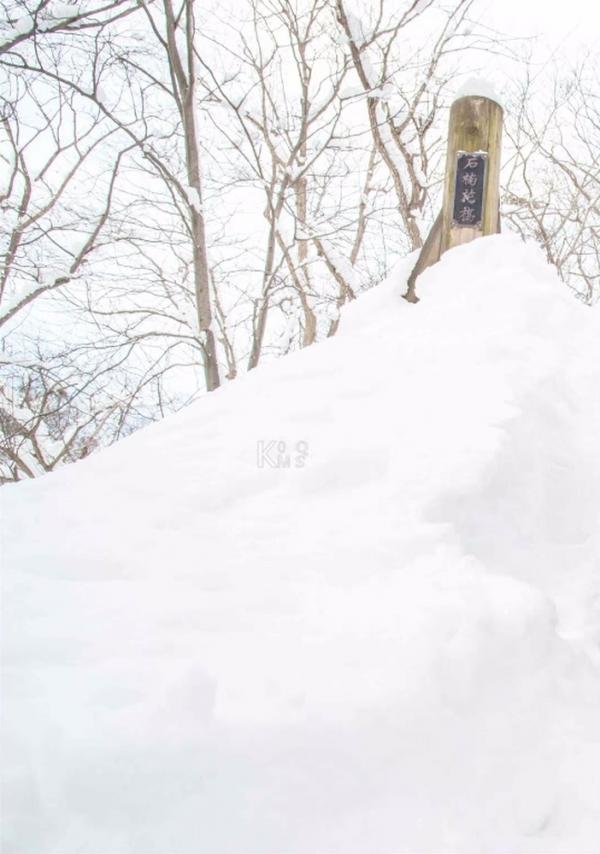 Whoseman-10-犬系男孩-安東尼-北海道特別企劃